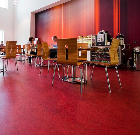 Marmoleum Marbled Real 3127/312735 Bleeckerstreet