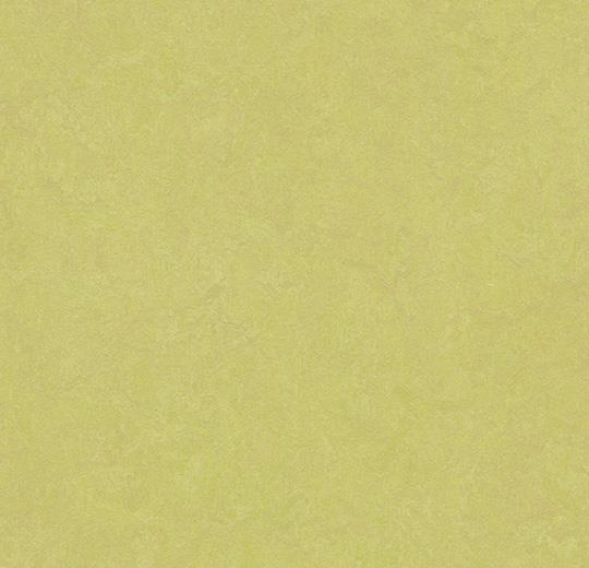 Marmoleum Marbled Fresco 3885/388535 spring buds