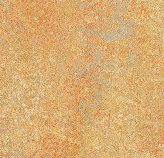 Marmoleum Marbled Vivace 3411/341135 sunny day