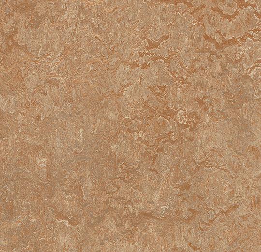Marmoleum Marbled Real 3233/323335 shitake