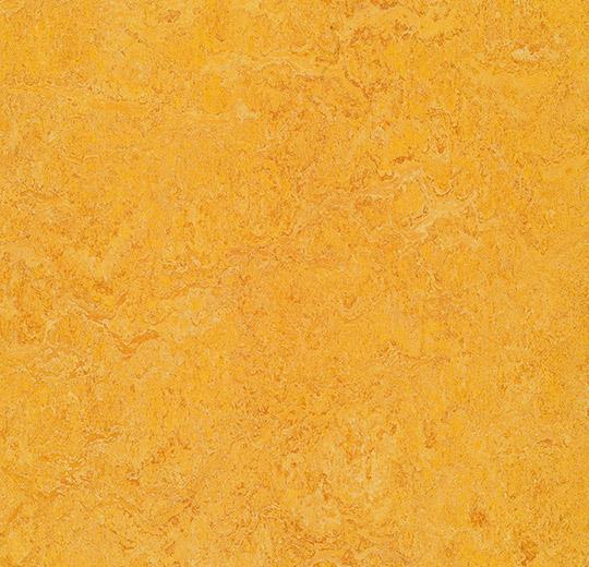 Marmoleum Marbled Real 3225/322535 dandelion